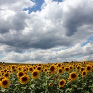 Meet your Posher, Rebekah